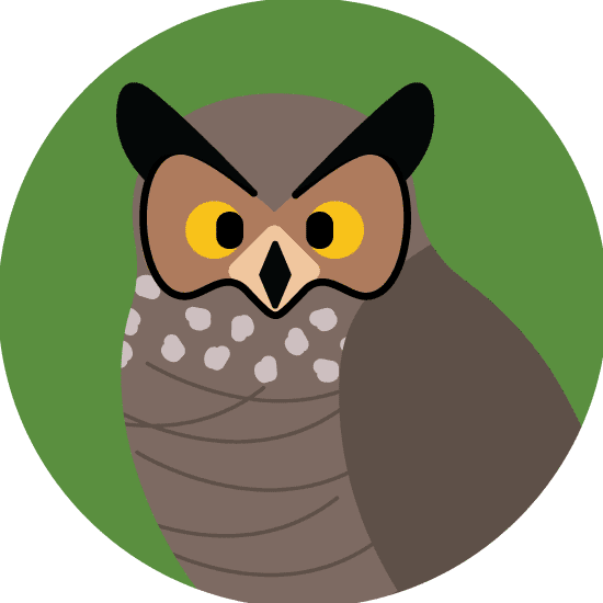illustration of a Great Horned Owl
